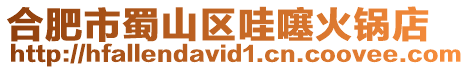 合肥市蜀山區(qū)哇噻火鍋店