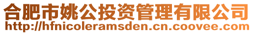 合肥市姚公投資管理有限公司