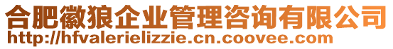 合肥徽狼企業管理咨詢有限公司