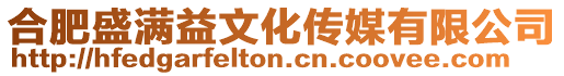 合肥盛滿益文化傳媒有限公司