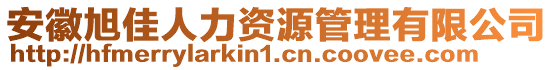 安徽旭佳人力資源管理有限公司