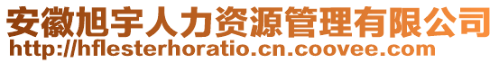 安徽旭宇人力资源管理有限公司