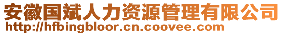 安徽國(guó)斌人力資源管理有限公司