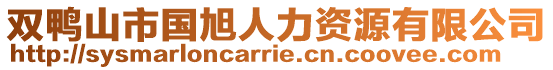 雙鴨山市國(guó)旭人力資源有限公司