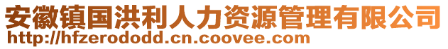 安徽镇国洪利人力资源管理有限公司