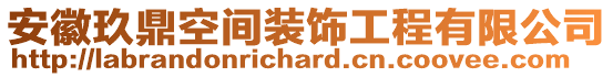 安徽玖鼎空間裝飾工程有限公司