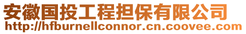 安徽國投工程擔保有限公司