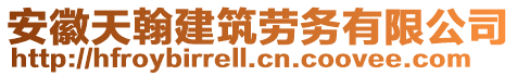 安徽天翰建筑勞務(wù)有限公司