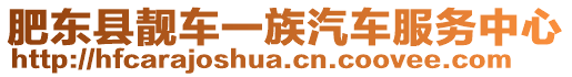 肥東縣靚車一族汽車服務中心