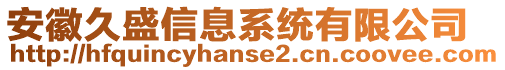 安徽久盛信息系統(tǒng)有限公司