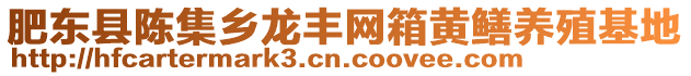 肥東縣陳集鄉(xiāng)龍豐網(wǎng)箱黃鱔養(yǎng)殖基地