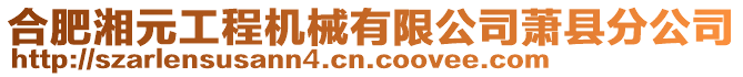 合肥湘元工程機械有限公司蕭縣分公司