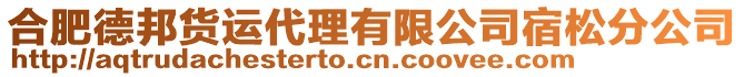 合肥德邦貨運(yùn)代理有限公司宿松分公司