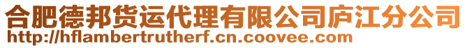 合肥德邦貨運代理有限公司廬江分公司