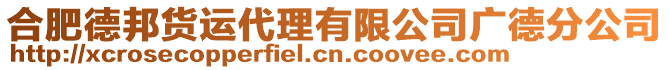 合肥德邦貨運代理有限公司廣德分公司