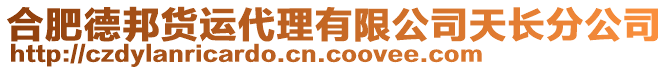 合肥德邦貨運代理有限公司天長分公司