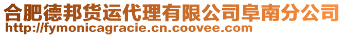 合肥德邦貨運(yùn)代理有限公司阜南分公司