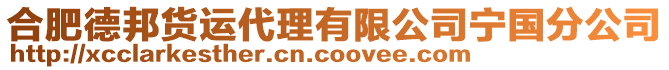 合肥德邦貨運(yùn)代理有限公司寧國(guó)分公司