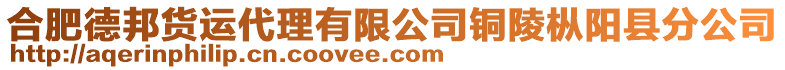 合肥德邦貨運代理有限公司銅陵樅陽縣分公司