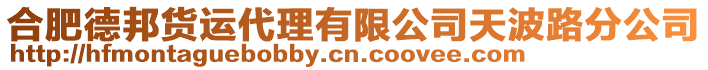 合肥德邦貨運代理有限公司天波路分公司