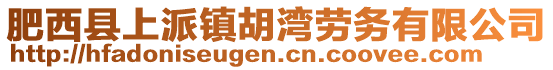 肥西縣上派鎮(zhèn)胡灣勞務(wù)有限公司