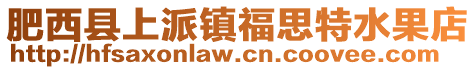 肥西縣上派鎮(zhèn)福思特水果店