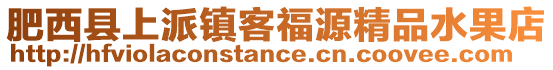 肥西縣上派鎮客福源精品水果店