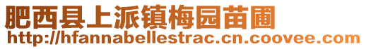 肥西縣上派鎮(zhèn)梅園苗圃