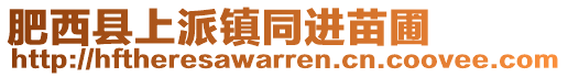 肥西縣上派鎮(zhèn)同進(jìn)苗圃