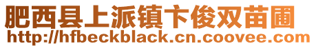 肥西縣上派鎮(zhèn)卞俊雙苗圃