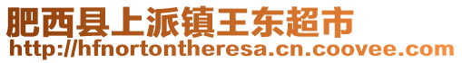 肥西縣上派鎮(zhèn)王東超市