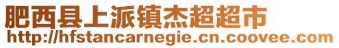 肥西縣上派鎮(zhèn)杰超超市