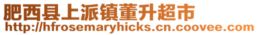 肥西縣上派鎮董升超市