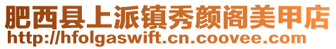 肥西縣上派鎮秀顏閣美甲店