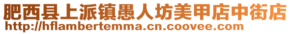 肥西縣上派鎮愚人坊美甲店中街店