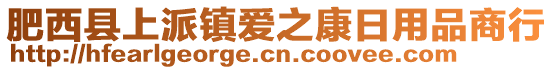 肥西縣上派鎮(zhèn)愛之康日用品商行