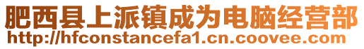 肥西縣上派鎮(zhèn)成為電腦經(jīng)營(yíng)部