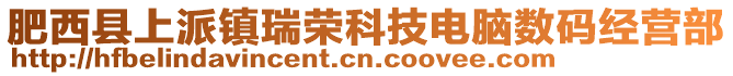 肥西縣上派鎮(zhèn)瑞榮科技電腦數(shù)碼經(jīng)營(yíng)部