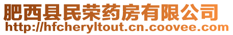 肥西縣民榮藥房有限公司