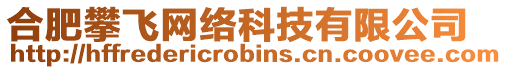 合肥攀飛網(wǎng)絡(luò)科技有限公司