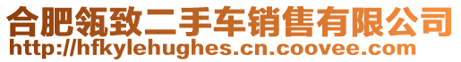 合肥瓴致二手車銷售有限公司