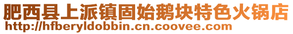 肥西縣上派鎮固始鵝塊特色火鍋店