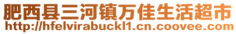 肥西縣三河鎮(zhèn)萬佳生活超市