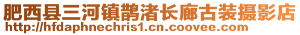 肥西縣三河鎮(zhèn)鵲渚長廊古裝攝影店