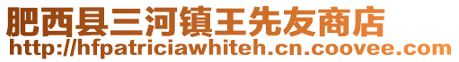 肥西縣三河鎮王先友商店