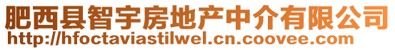 肥西縣智宇房地產(chǎn)中介有限公司