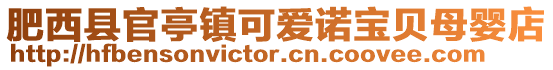 肥西縣官亭鎮(zhèn)可愛諾寶貝母嬰店