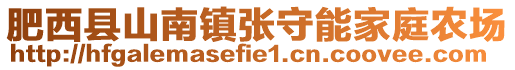 肥西縣山南鎮(zhèn)張守能家庭農(nóng)場(chǎng)