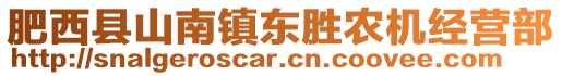 肥西縣山南鎮(zhèn)東勝農(nóng)機(jī)經(jīng)營(yíng)部