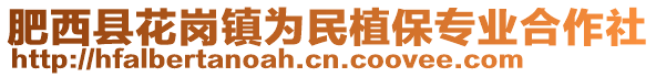 肥西縣花崗鎮(zhèn)為民植保專業(yè)合作社